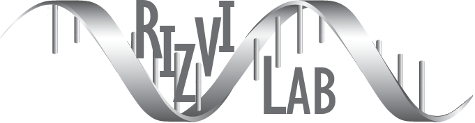 Rizvi Lab